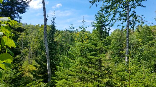 Mont tremblant nature