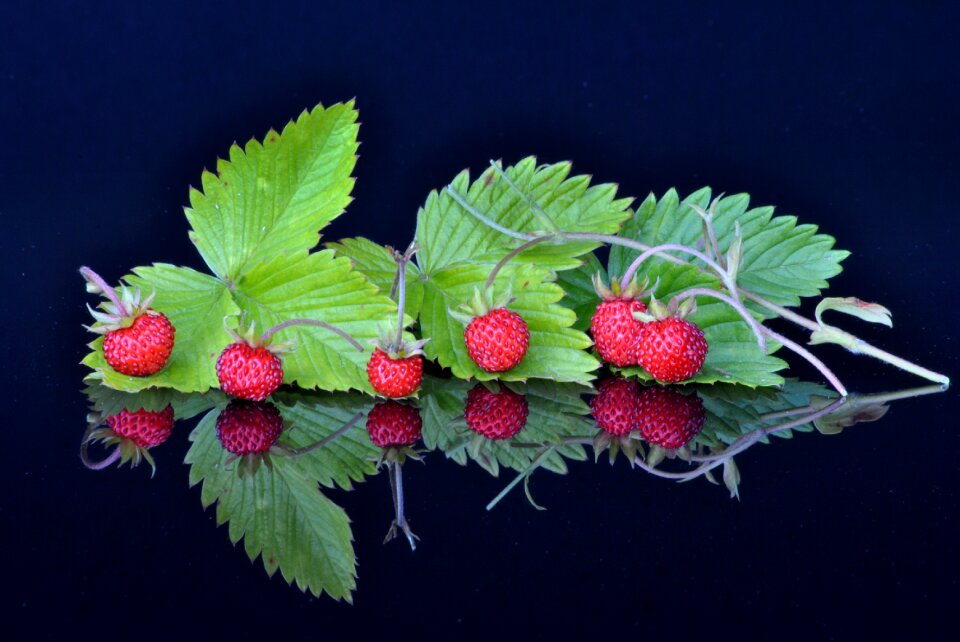Fruit fruits spiegelug experiments