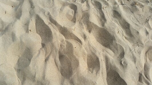 Background holland sea sand photo