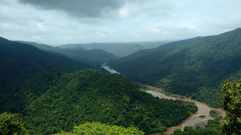 Karnataka india greenery