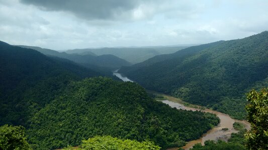 Karnataka india greenery photo