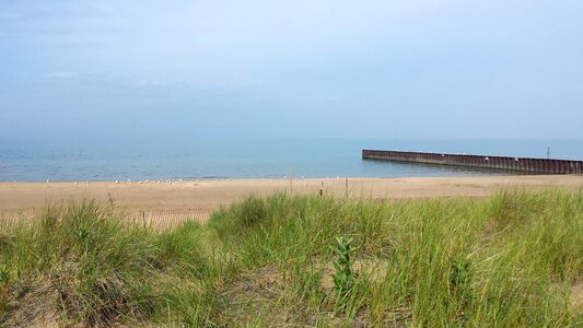 Dock grass sand
