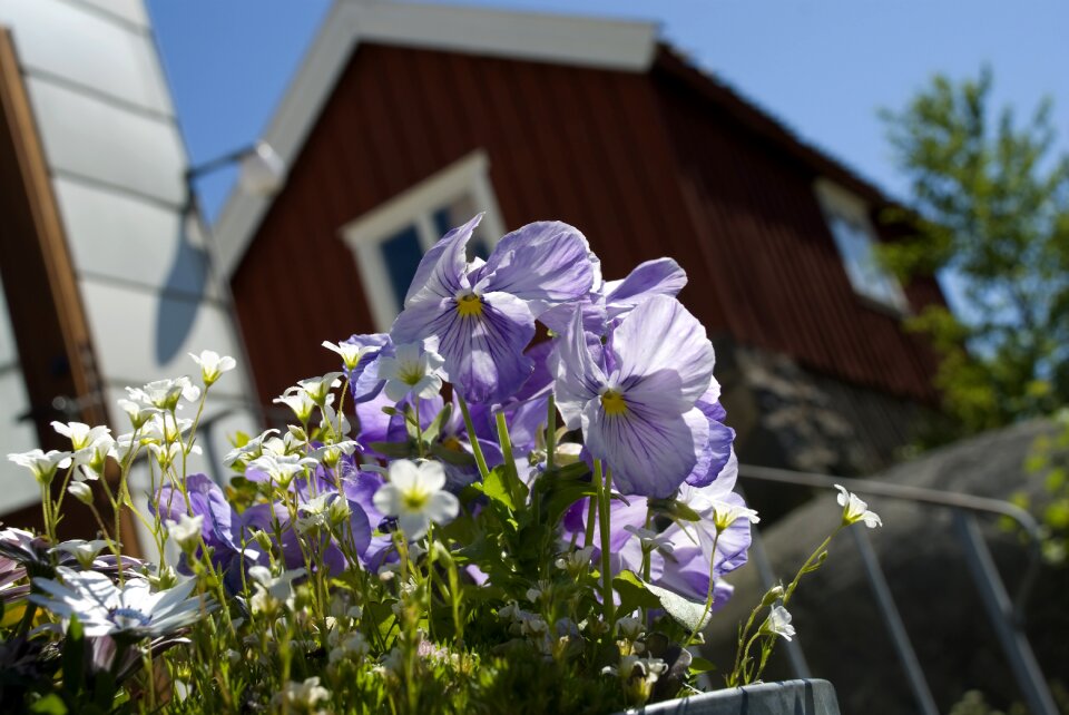 Summer the archipelago archipelago