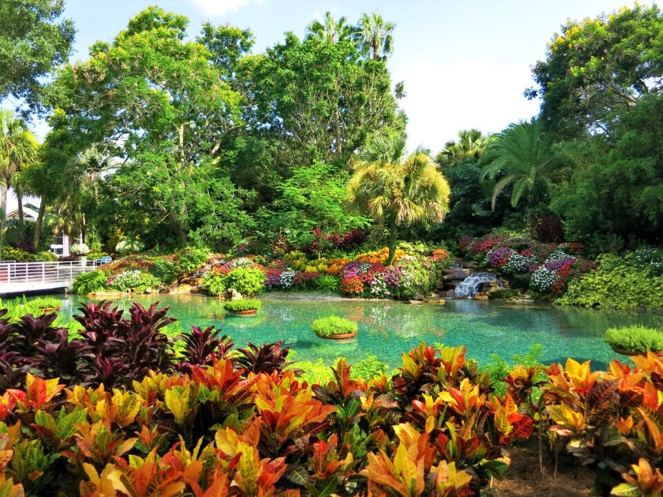Paradise plant lagoon