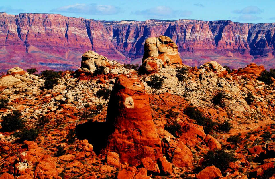 Red rocks southwest purple majesty