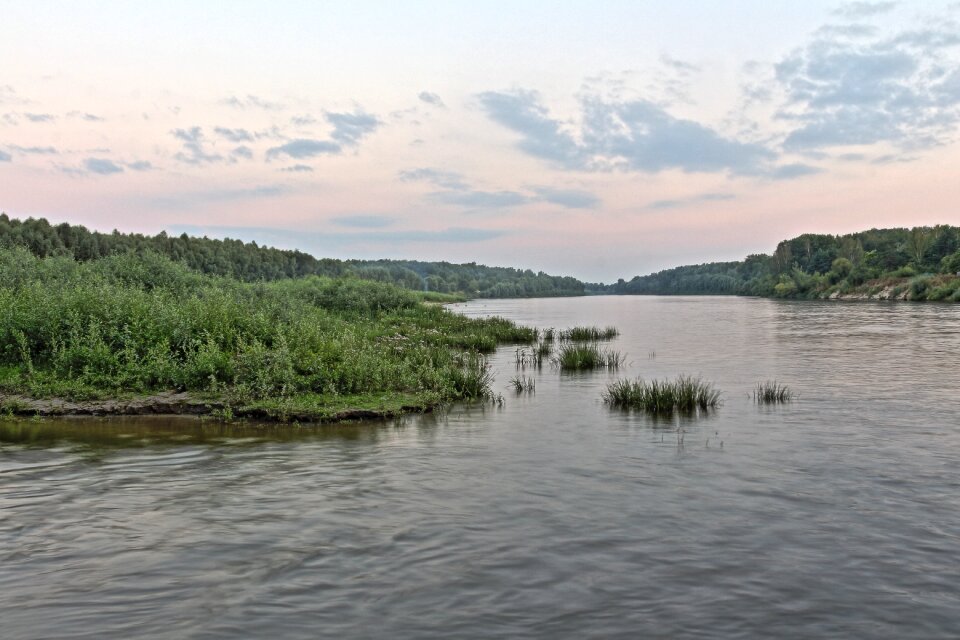 Landscape lake swamp