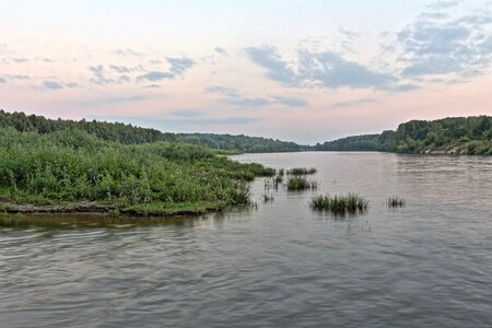 Landscape lake swamp