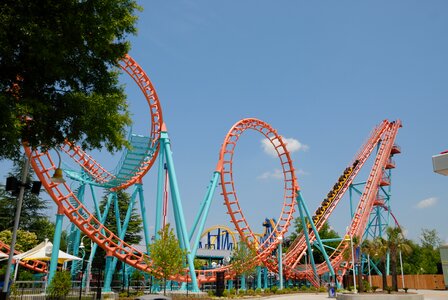 Amusement coaster park photo