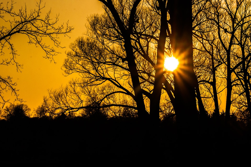 Sunrays sunshine radiation photo