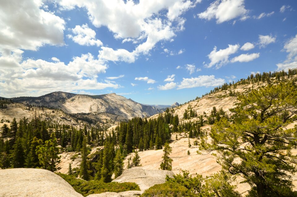 Rock yosemite summer