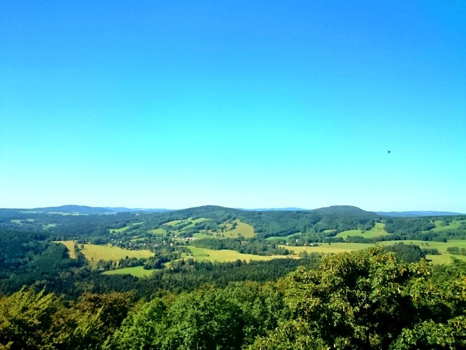 Green landscape nature