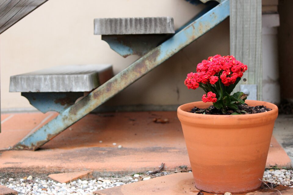 Gardening spring nature