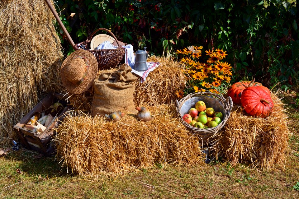 Decoration autumn decoration autumn
