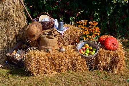 Decoration autumn decoration autumn