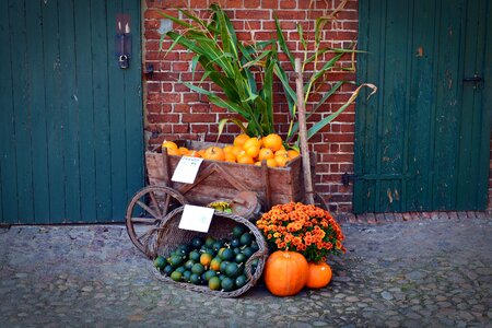 Decoration benefit from pumpkin yard cordes photo