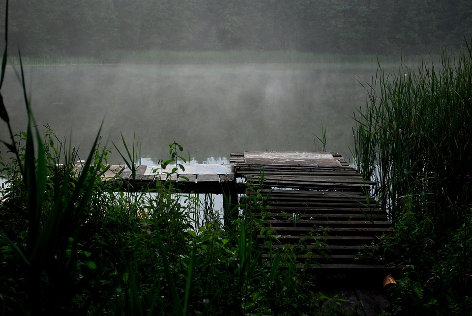 Water the fog green