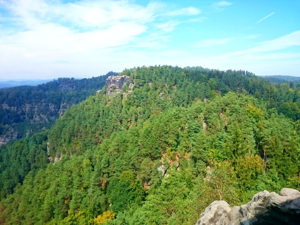 Travel green landscape