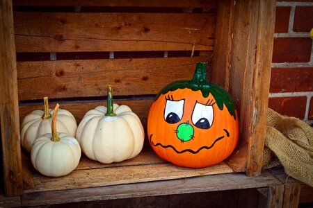 Harvest time sale decoration photo