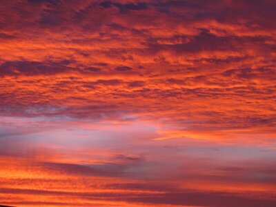 Nature light red photo