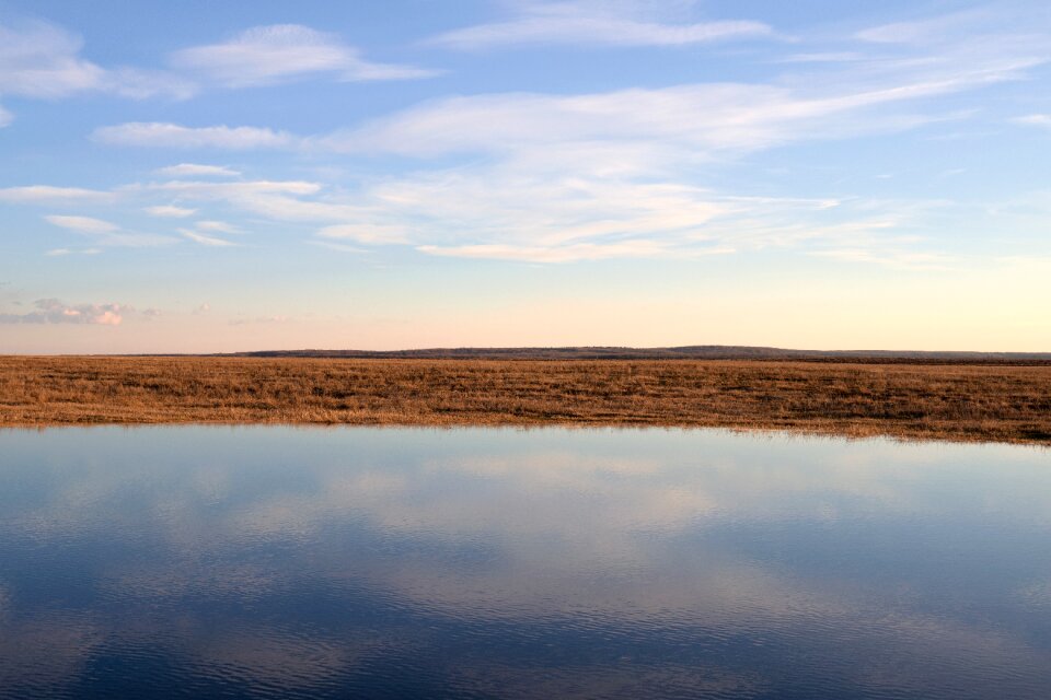 Silence nature void