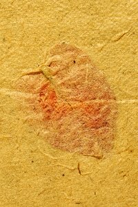 Background texture zen