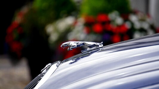 Automobile auto hood