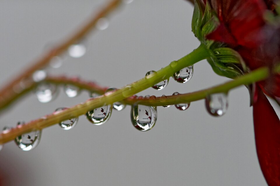 Drip mirroring drop of water