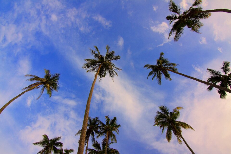Summer travel nature