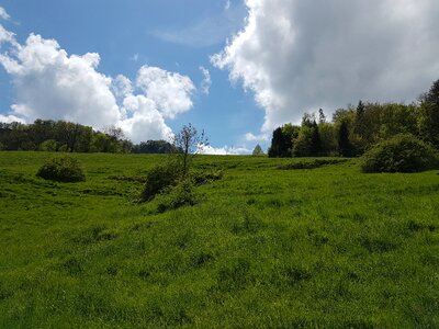 Nature hiking forest