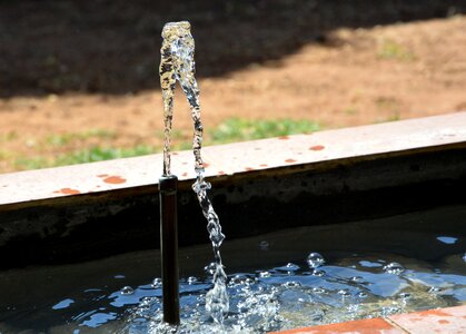 Sprinkler wet
