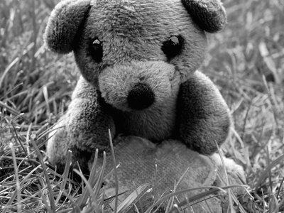 Soft toy in the grass teddy in the grass