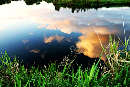Grass reflections clouds photo