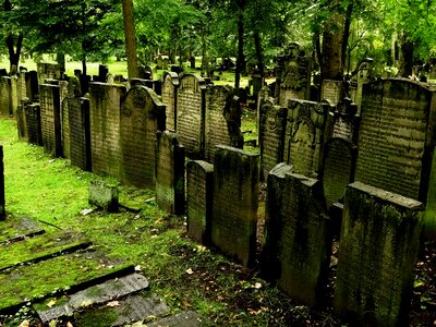 Jewish cemetery grave stones commemorate photo