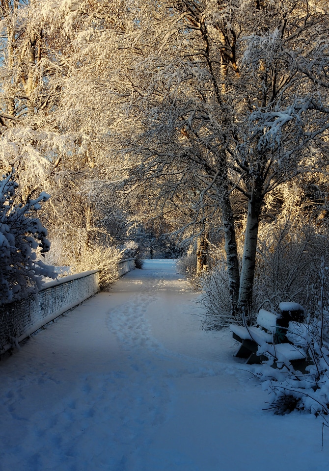 Trail path winter photo