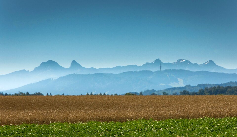 Landscape nature cornfield