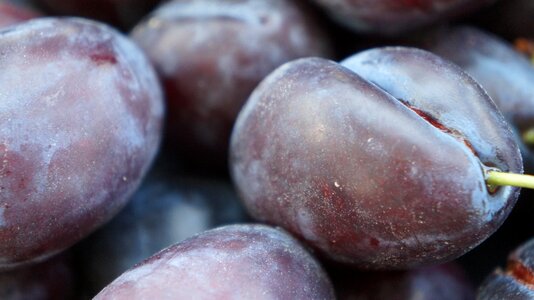 Ripe fruits violet