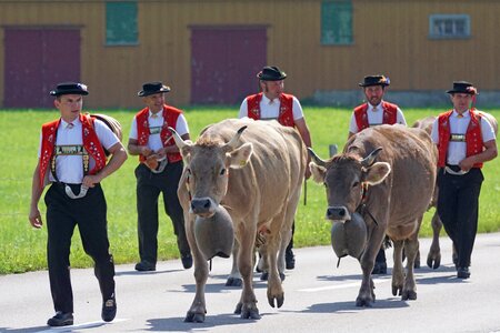 Appenzell customs innerrhoden