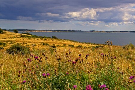 Fyns hoved baltic sea danish baltic photo