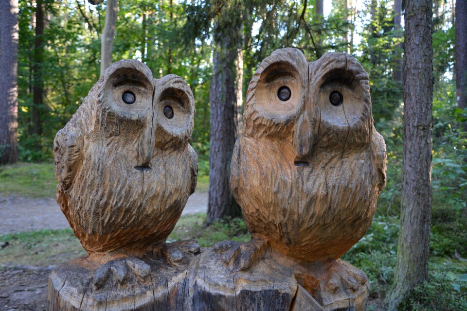 Wooden animals wood eyes