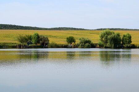 Nature blue sky sky photo