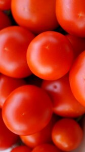 Vegetables healthy harvest