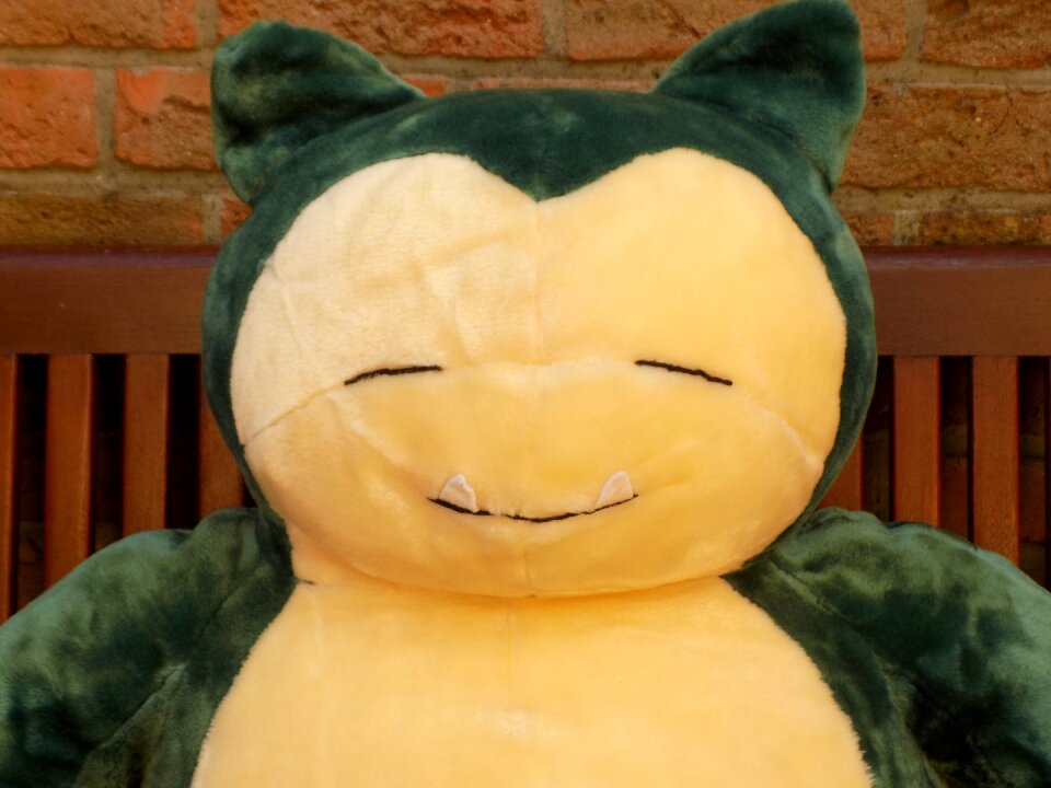 Fictitious teddy bear anime