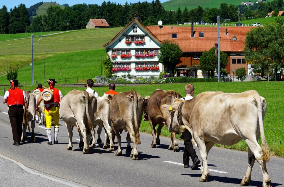 Appenzell customs innerrhoden