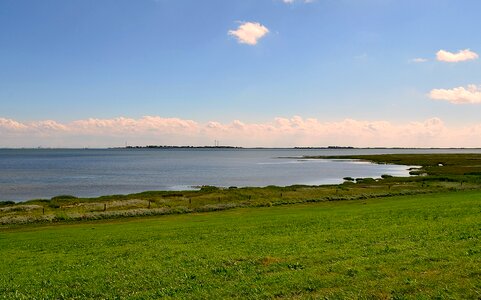 Nature reserve coast nature