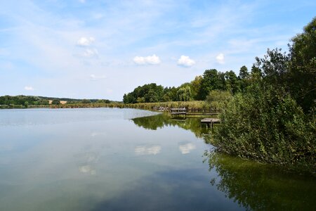 Waterfront landscape reed photo