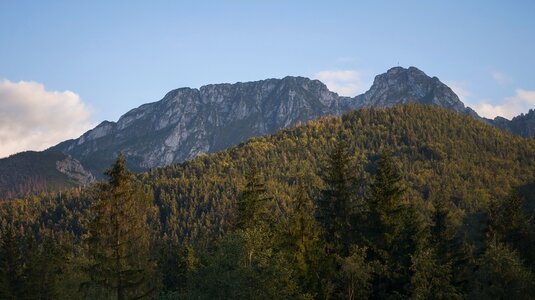 Nature giewont forest