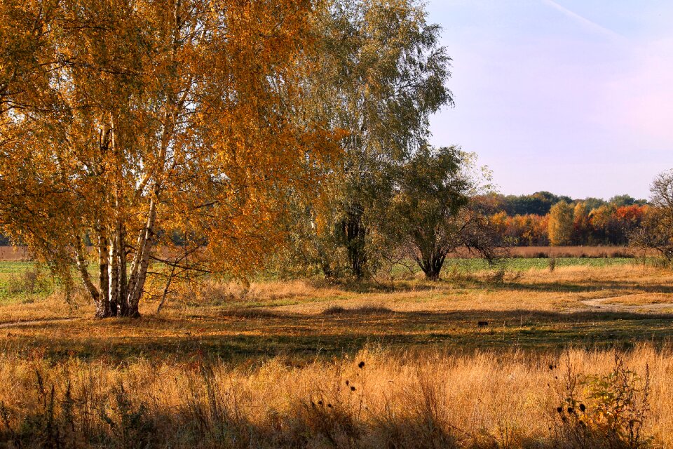 Fall foliage fall color autumn mood