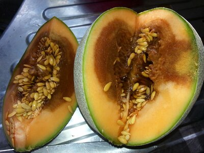 Rotten melon