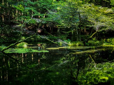 Bright water river spring water photo