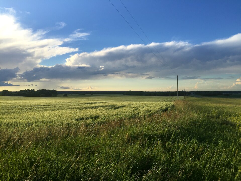Sunny sunset landscape